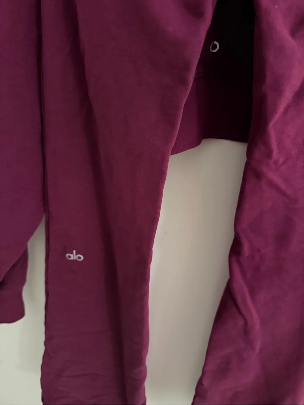 Alo Women's 2 Pieces Burgundy Cropped Hoodie and Pant Set